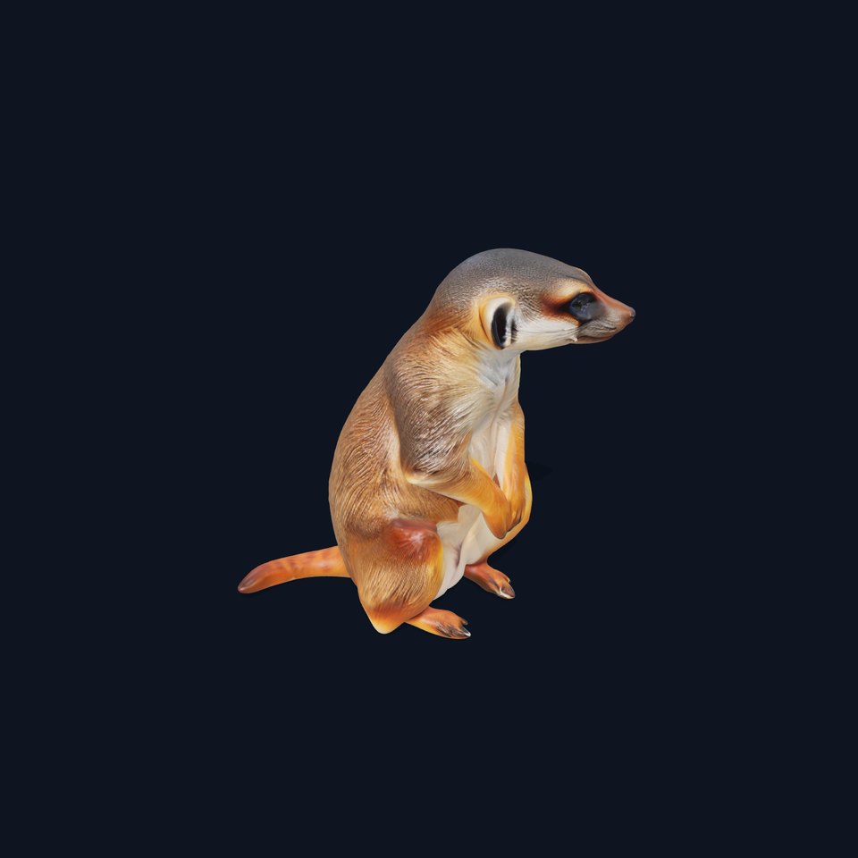 Meerkat D Model Pack for Animation and Rendering
